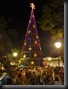 Lichter brennen, Weihnachtsbaum -(Hut???) entzündungfest, Kalgoorlie-Boulder, noch genau 4 Wochen bis Weihnachten