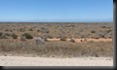 Nullarbor Plain, 1670km lange baumlose Strecke in Süd-Australien