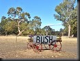 Einfahrt zum "Black Cockatoo" Bush Camp, Albert Park, 3 km von Naracoorte