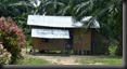 Wohnhaus der Mah Meri auf der Pulay Carey (Pulau = Insel)