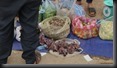 Küken für den Feinschmecker, Markt in Phone Savan