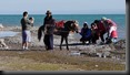 Pferdevermieter und chin. Touristen, am Qinghai See