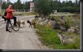 unsere Radtour auf der Solowezki Insel