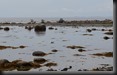Weißmeerküste, Insel Solowezki, 2 ganz Mutige
